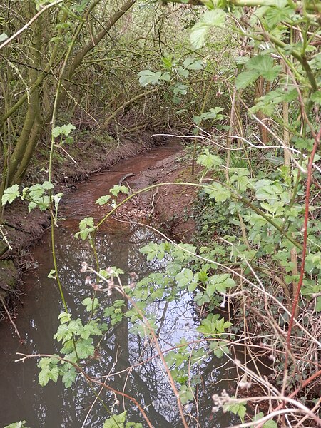 File:A small feeder of the River Severn - geograph.org.uk - 4920838.jpg