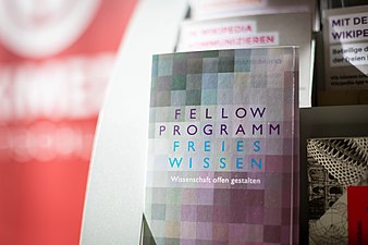 Abschlussveranstaltung Fellow-Programm 2017-2018 066.jpg