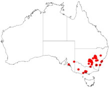 Akasya cardiophyllaDistMap163.png