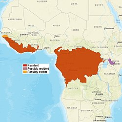 非洲金貓嘅分布，2015年[1]