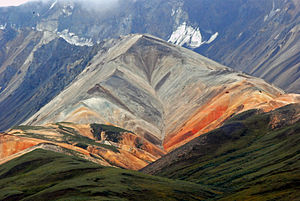 Narodni Park In Rezervat Denali