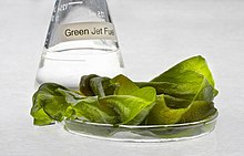 A conical flask of "green" jet fuel made from algae Algae fuel in a beaker.jpg