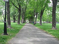 Allee Parc Laurier.JPG