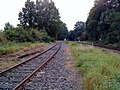 Streckenverbindung zur Tecklenburger Nordbahn in Altenrheine