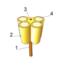 Schematic cross section of an anther. 1: Filament 2: Theca 3: Connective 4: Pollen sac (also known as sporangium) Anther-schematic.png