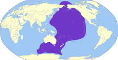 Ardenna tenuirostris map.svg