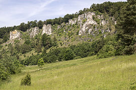 Sicht auf die Leite von Arnsberg aus