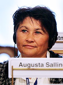 Augusta Salling vid Nordiska Radets session i Oslo. 2007-10-31. Foto- Magnus Froderberg-norden.org (cropped).jpg