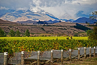 Marlborough wine region New Zealands largest wine region