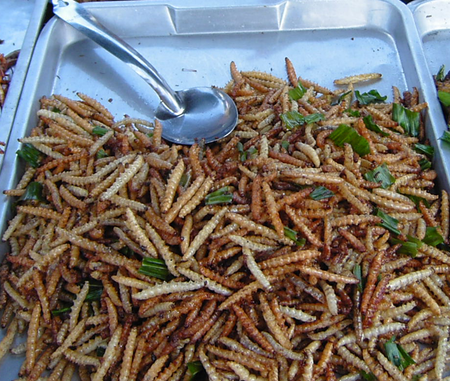 Tập_tin:Bamboo_worms_on_plate.png