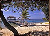 A beach in Cayman Brac