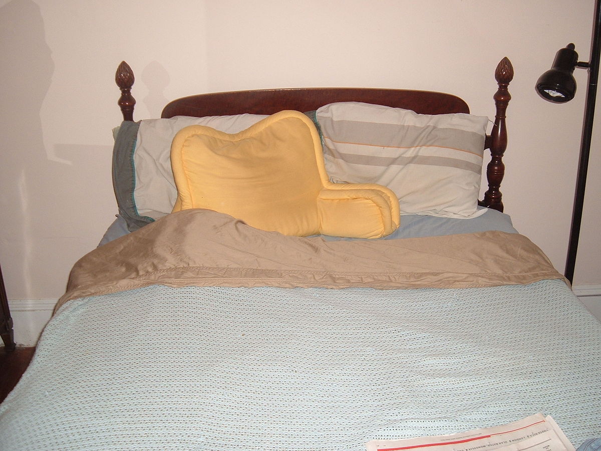 bed – Wiktionary tiếng Việt