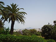 Belvédère - Tunis