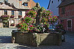 Fontaine de Bergheim