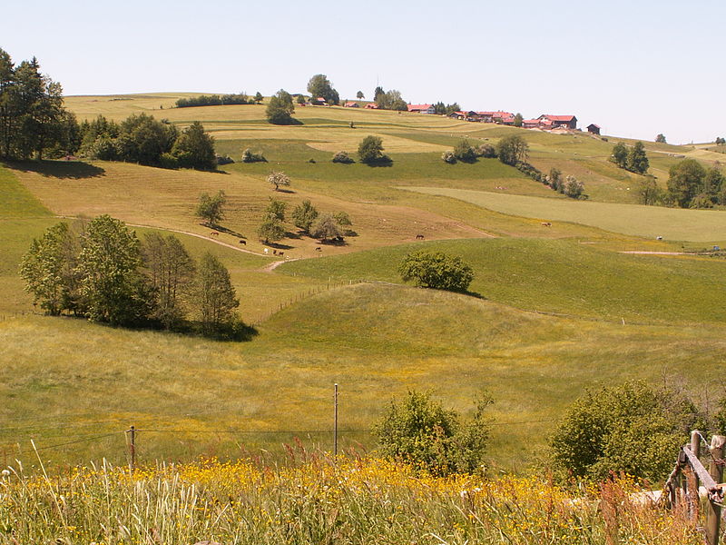 File:Betzigau - Unterhalden - Hauptmannsgreut, Hohe Schulter.JPG