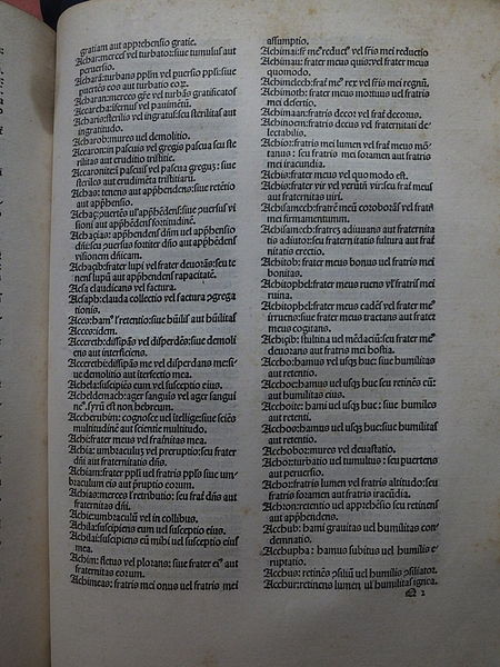 File:Biblia Latina 1479 Registrum 3242.JPG