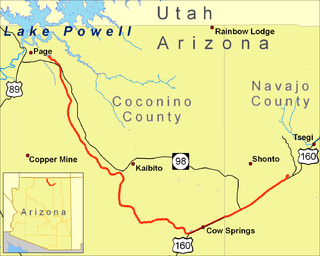 <span class="mw-page-title-main">Black Mesa and Lake Powell Railroad</span> Former railway line in Arizona