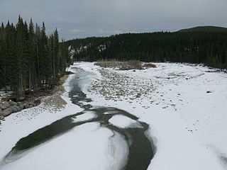 <span class="mw-page-title-main">Blackstone River (Alberta)</span> River in Alberta, Canada