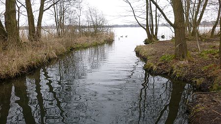 Bornhöveder See Alte Schwentine2016