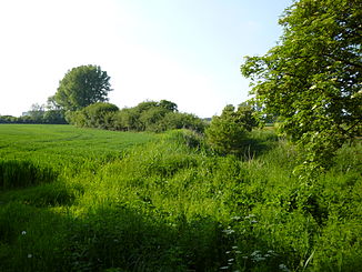 Borthsche Ley near the Menzelener lakes