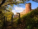 Bothwell, Bothwell Castle