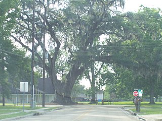 <span class="mw-page-title-main">Brusly, Louisiana</span> Town in Louisiana, United States