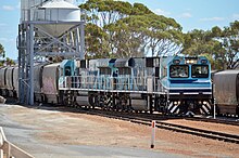 Two blue diesel locomotives attached to hopper wagons loading with grain