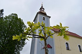 Vysoká nad Kysucou