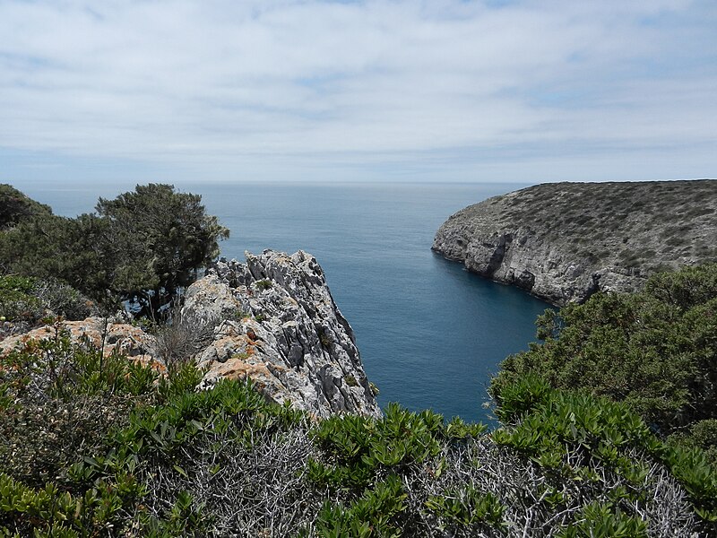 File:Cabo Sao Vicente - panoramio (2).jpg