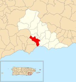 Kırmızı ile gösterilen Patillas belediyesi içindeki Cacao Bajo'nun konumu