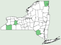 Carex emoryi NY-dist-map.png