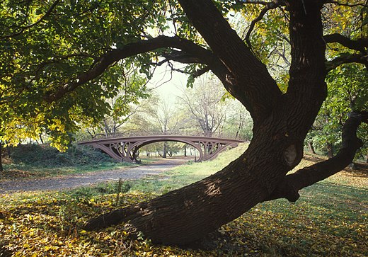Het Central Park in New York werd ontworpen door Olmsted en Vaux.