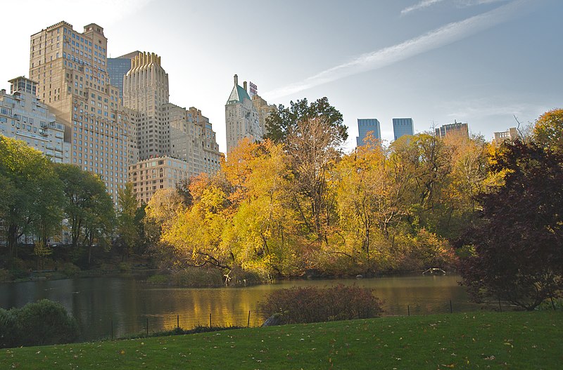 File:Central Park during Autumn, NYC.jpg
Description	
(more details later, as time permits)

On Nov 6, 2009 a group of roughly 150 members of the NYC Digital Photography Meetup Group (which comprises some 2,556 members, according to its website) assembled at the southeast corner of New York's Central Park for a "meetup" that consisted of a walk through Central Park to capture the fall foliage. A few people knew each other from previous meetups, but most of us were there for the first time, and knew only that we were in the midst of a lot of people with "serious" cameras. Introductions were made, hands were shaken, cameras were compared, but with rare exceptions, names were quickly forgotten -- except for lyman91, who served as the organizer for the afternoon's activities. After all, it wasn't a college mixer; we were there to get some nice photographs...

Once we got started, we walked past the pond in the southeast corner of the park, up to a picturesque bridge, and then along the southern edge of the park until we reached another picturesque bridge by the southwest corner of the park. From there, we ventured north, past Tavern on the Green, past the Sheep Meadow, up to the 72nd Street entrance (where many photos were dutifully snapped of Strawberry Fields, and the Dakota apartment building where John Lennon lived at the time of his death). We then walked around parts of the boat pond, and a little further north into the Ramble ... at which point, the late-afternoon shadows were dark enough that I decided to call it a day and head on home.

As someone observed early in the walk, "fall foliage" in New York City is not the same as it is up in Vermont and New Hampshire. There are no fiery reds, no mountainsides of bright orange trees. Our trees are more subdued: there were a few bright yellow ones (don't ask me what kind they were; I have no idea), but most of the trees were "rust-colored" at best.

Still, it was a pleasant walk; the temperature was a little cool, but the skies were a brilliant blue, and there wasn't a cloud to be seen. I took fewer photos than I would have expected -- only about 300 -- and I'll upload the "keepers" throughout the week, as I edit them and put them in reasonable shape... and I'll look forward to another photo meetup sometime in the future. Next time, hopefully I will remember a few names...
Date	7 November 2009, 13:12
Source	
Central Park foliage photo-walk, Nov 2009 - 03

Uploaded by Ekabhishek
Author	Ed Yourdon from New York City, USA