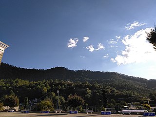 Sierra Madre del Sur pine–oak forests Tropical coniferous forest ecoregion in Mexico