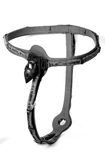 <span class="mw-page-title-main">Chastity belt (BDSM)</span> Device to prevent sexual activity in BDSM play