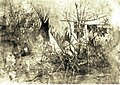 Cheyenne Village at Big Timbers 1853.jpg
