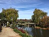 A river and lake at the garden