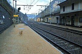 Perro en el muelle de Tenay-Hauteville.jpg