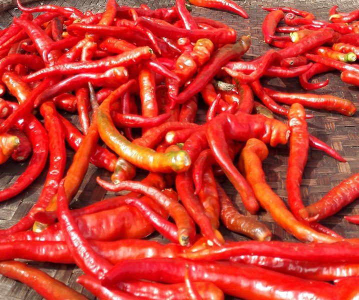 File:Chili picking (cropped).jpg