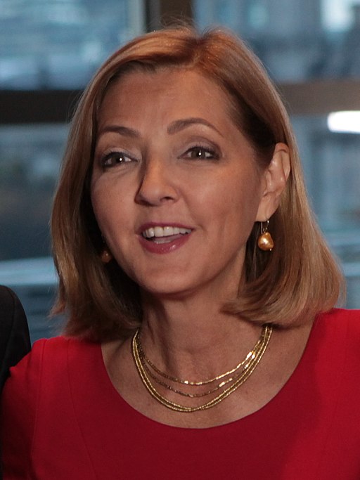 Chris Jansing (cropped)