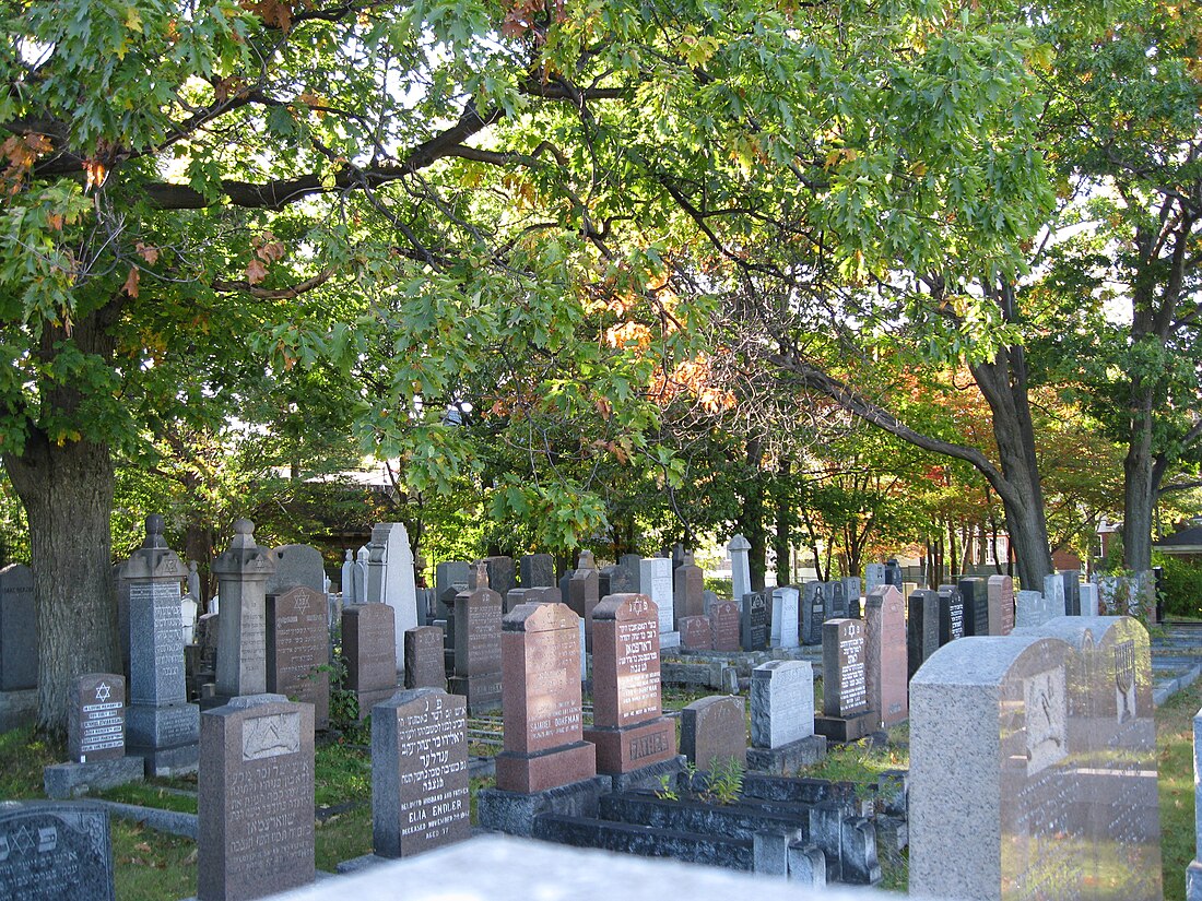 Beth Israel Cemetery (Quebec City)