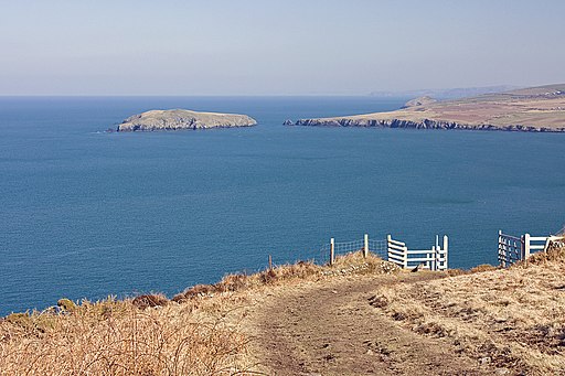 Coast Path on Cemaes Head - geograph.org.uk - 1742469