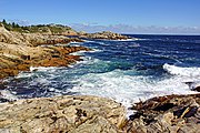 Coastline at Duncan Cove (23839757216)