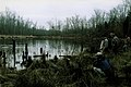 Cold Dawn at Baker's Pond by Charles Askew