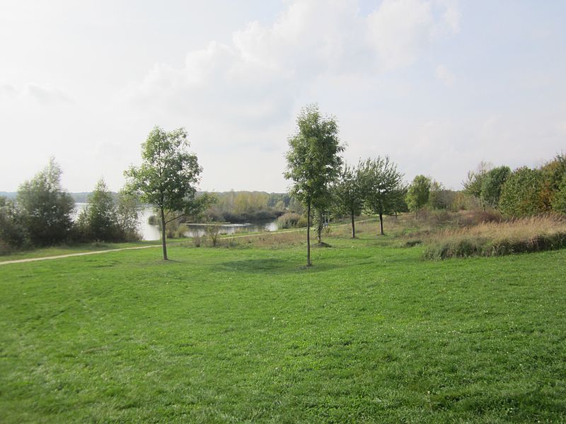 File:Cospudener See Westufer Oktober 2014 02.JPG