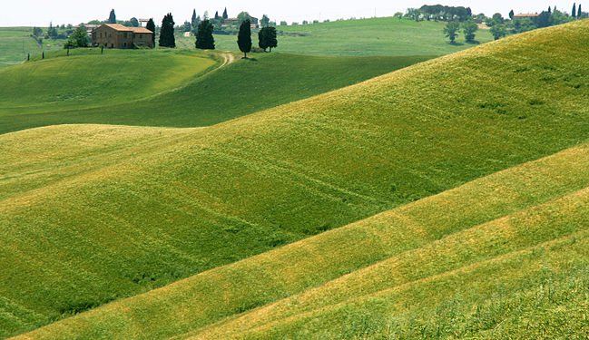 Crete Senesi