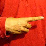 The "D" handshape produced with the the back of the hand facing the camera