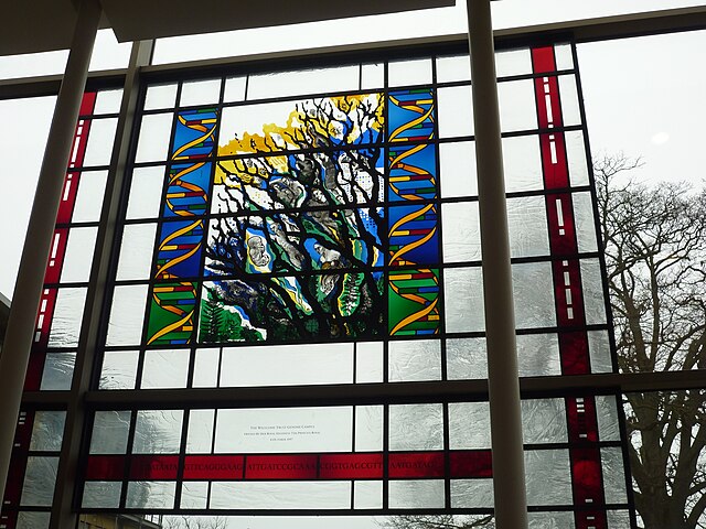Commemorative stain window located in the Sulston building of the Wellcome Sanger Institute, to mark the opening of the Genome Campus