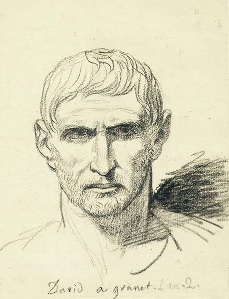 File:David - The head of a bearded man after a Roman bust, 1825139.jpg