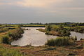 De Alde Feanen. Waterrijk natuurgebied in Friesland.